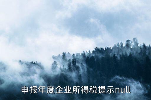 報(bào)稅是顯示null是什么意思，一般納稅人申報(bào)結(jié)果查詢null是什么意思
