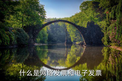 什么是網(wǎng)絡(luò)發(fā)票系統(tǒng)，什么是網(wǎng)開發(fā)票