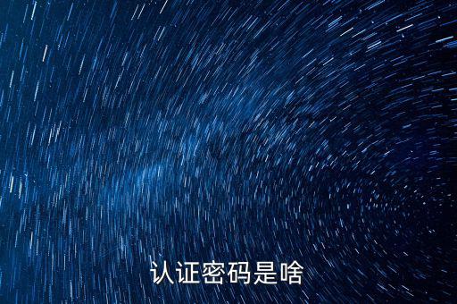 網(wǎng)上認(rèn)證的密碼是什么意思啊，市民身份證手機(jī)認(rèn)證服務(wù)密碼是什么意思在線等急