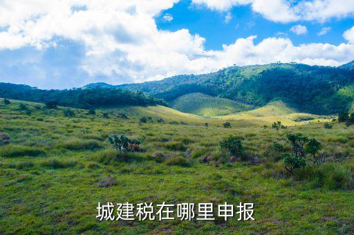 地稅城市維護建設稅按什么申報，城建稅申報