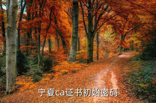 ca的默認(rèn)密碼是什么意思，ca口令是什么