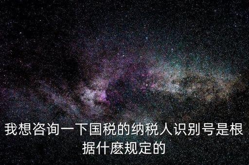 臨時(shí)納稅人代碼是什么，我想咨詢一下國(guó)稅的納稅人識(shí)別號(hào)是根據(jù)什麼規(guī)定的