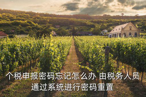 去稅局重置密碼要帶什么資料，個(gè)稅申報(bào)密碼怎么重置