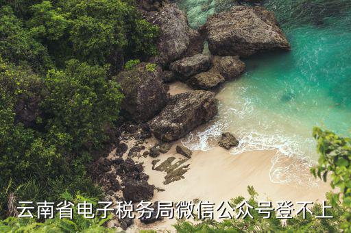 為什么電子稅務(wù)登錄不上，云南省電子稅務(wù)局微信公眾號(hào)登不上
