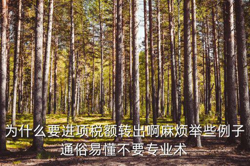 為什么要進項稅額轉出，為什么要進項稅額轉出啊麻煩舉些例子通俗易懂不要專業(yè)術
