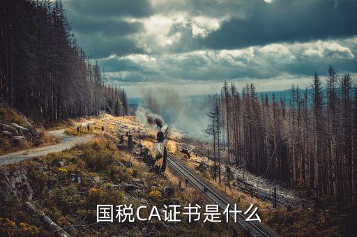 國稅密鑰和證書是什么意思，增值稅專用發(fā)票辦理秘鑰是什么意思