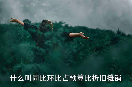 什么叫同比環(huán)比占預(yù)算比折舊攤銷(xiāo)