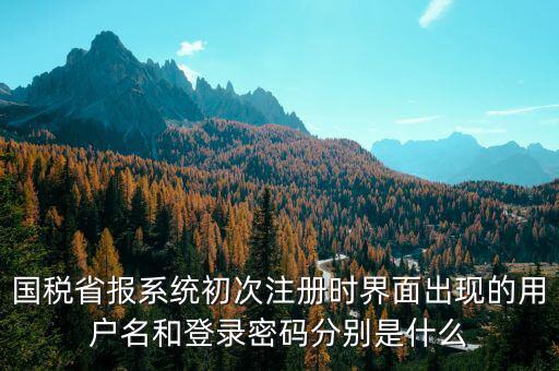 河南省國(guó)稅申報(bào)系統(tǒng)帳號(hào)是什么，請(qǐng)問(wèn)國(guó)稅申報(bào)用戶號(hào)是什么密碼又是什么