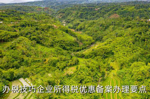 稅收優(yōu)惠事項備案項目是什么，企業(yè)所得稅需備案的事項包括哪些