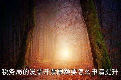 提高開票限額申請(qǐng)需要什么資料，去稅務(wù)局增大公司的開票限額需要帶些什么我公司第一次開票去申