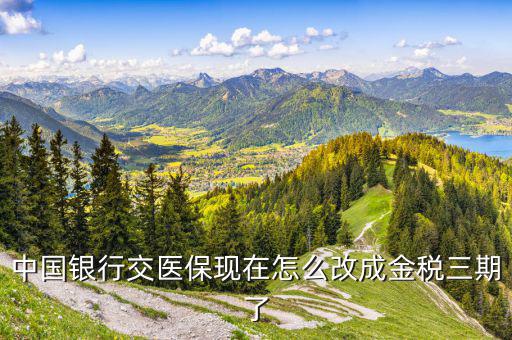 中國銀行交醫(yī)?，F(xiàn)在怎么改成金稅三期了