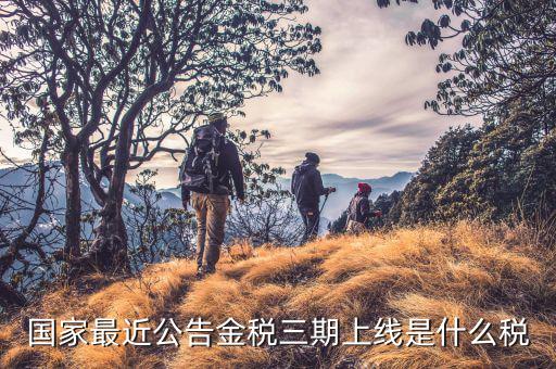 金稅三期從什么上線，國(guó)家最近公告金稅三期上線是什么稅