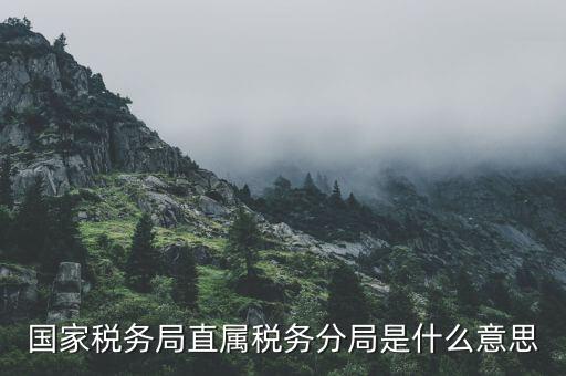 征管分局是什么，南通市通州區(qū)地方稅務局的征管分局