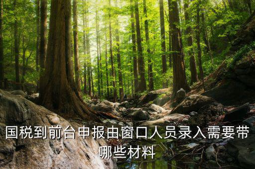 安徽去窗口申報(bào)稅需要帶什么材料，申報(bào)增值稅要拿什么材料去