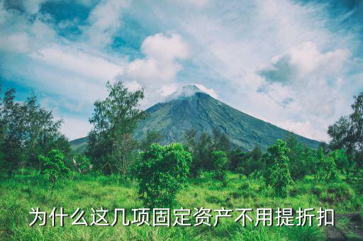 那些固定資產(chǎn)不提折舊為什么，為什么這幾項(xiàng)固定資產(chǎn)不用提折扣