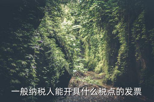 一般納稅人領(lǐng)什么發(fā)票，一般納稅人企業(yè)能開(kāi)具和使用什么類型的發(fā)票