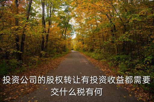 投資公司要交什么稅，投資集團公司如何繳稅