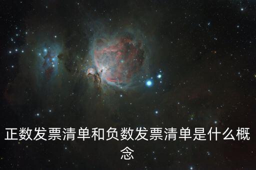 正數發(fā)票清單和負數發(fā)票清單是什么概念