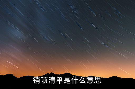 增值稅報(bào)稅清單是什么意思，發(fā)票清單是什么