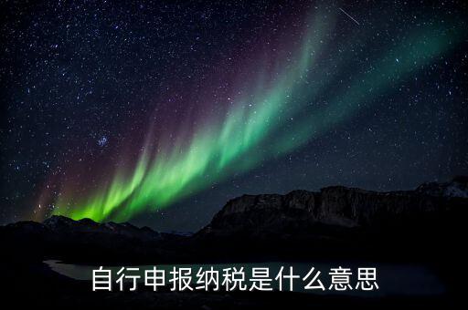 申報(bào)納稅什么意思，報(bào)稅是什么意思 報(bào)稅的含義