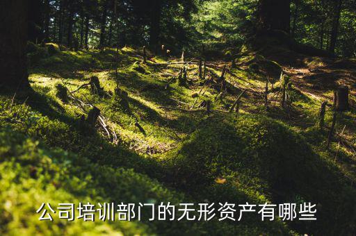 其他權益性無形資產(chǎn)是什么，無形資產(chǎn)屬于什么科目