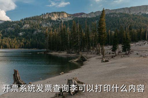 發(fā)票查詢什么內(nèi)容，通過發(fā)票可以查到買了什么東西嗎