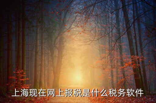 上?，F(xiàn)在網(wǎng)上報稅是什么稅務(wù)軟件