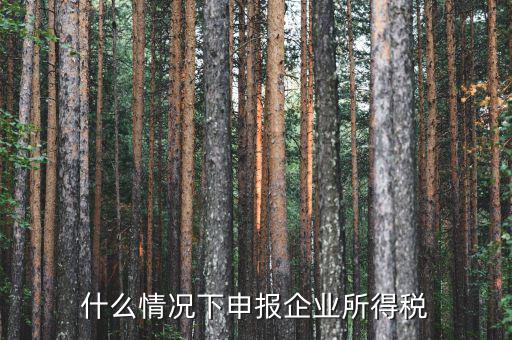 什么情況企業(yè)所得稅，什么是企業(yè)所得稅