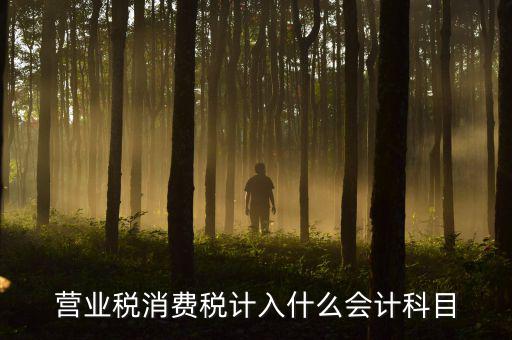 營業(yè)稅記什么科目，企業(yè)應交營業(yè)稅可以記入那個科目
