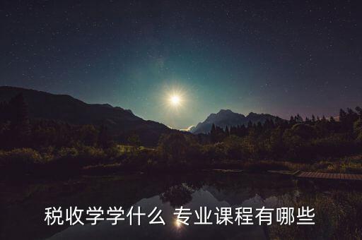 稅收學 什么專業(yè)好，稅收學專業(yè)學什么