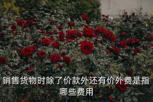 什么叫價外費用，屬于價外費用的是什么