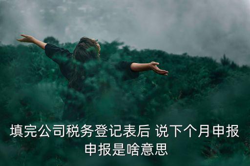 納稅登記表是什么意思，填完公司稅務(wù)登記表后 說下個月申報 申報是啥意思