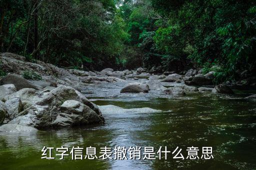 紅字發(fā)票信息表撤銷(xiāo)預(yù)約什么好，深圳撤銷(xiāo)紅字發(fā)票申請(qǐng)表預(yù)約哪個(gè)窗口