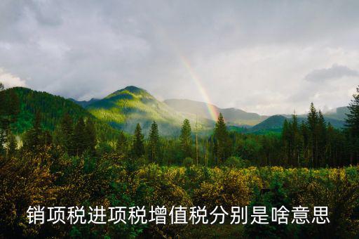 什么是銷項(xiàng)和進(jìn)項(xiàng)，進(jìn)項(xiàng)稅和銷項(xiàng)稅是什么意思