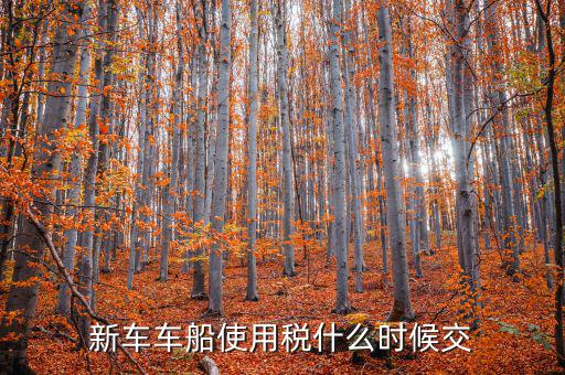 新車什么時(shí)候交車船稅，新車車船使用稅什么時(shí)候交