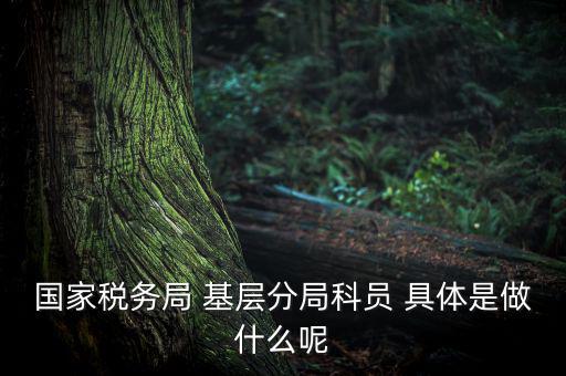 國地稅征管改革黨員干部干什么，國家稅務(wù)局 基層分局科員 具體是做什么呢