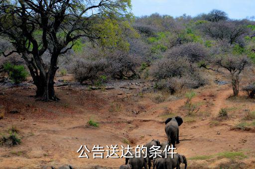 稅務(wù)局公告送達需要什么條件，公告送達的條件