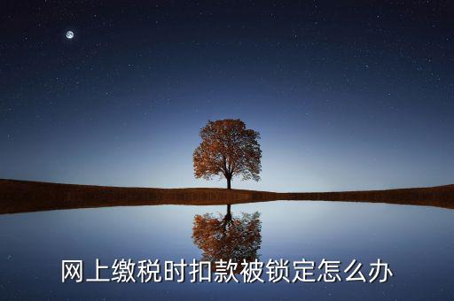 網上繳稅時扣款被鎖定怎么辦