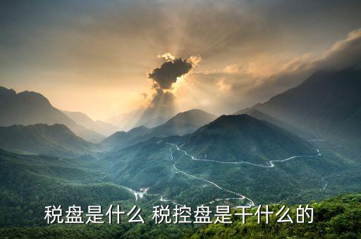 億企贏稅盤是什么，稅盤是什么 稅控盤是干什么的