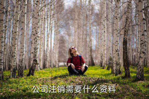 企業(yè)注銷需提供什么資料，公司注銷需要哪些資料