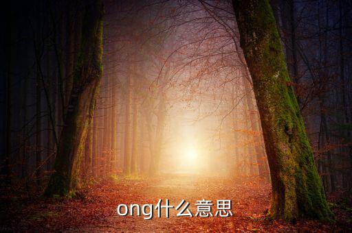 發(fā)票ong什么意思，ong什么意思