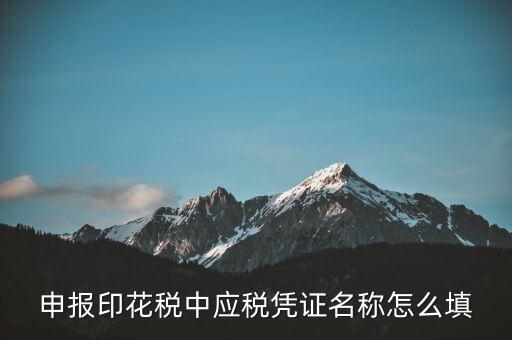 印花稅應稅憑證名稱是什么，申報印花稅中應稅憑證名稱怎么填