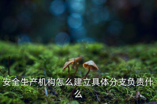 什么是三級(jí)分支機(jī)構(gòu)，英語三級(jí)發(fā)證機(jī)構(gòu)是什么