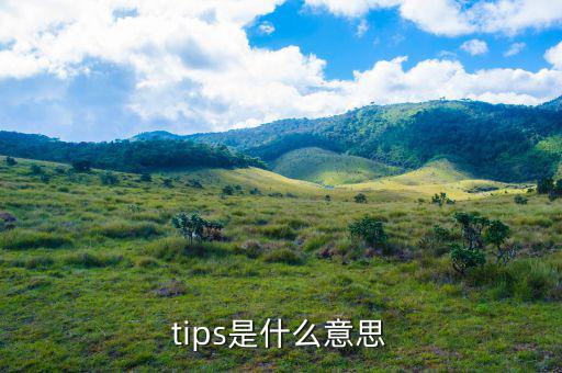 系統(tǒng)tips是什么意思，我想知道Tips是什么意思
