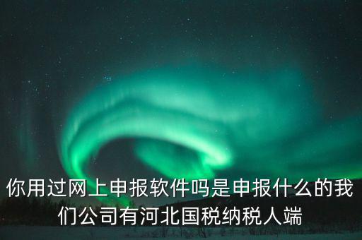 企業(yè)申報(bào)客戶端是什么，你用過(guò)網(wǎng)上申報(bào)軟件嗎是申報(bào)什么的我們公司有河北國(guó)稅納稅人端