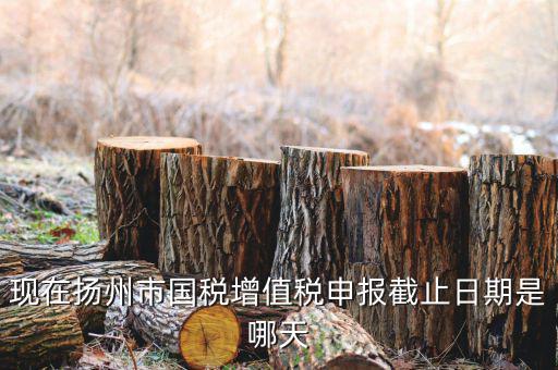 揚(yáng)州10月稅務(wù)申報(bào)什么時(shí)候，個(gè)人所得稅10月份申報(bào)期限是多少
