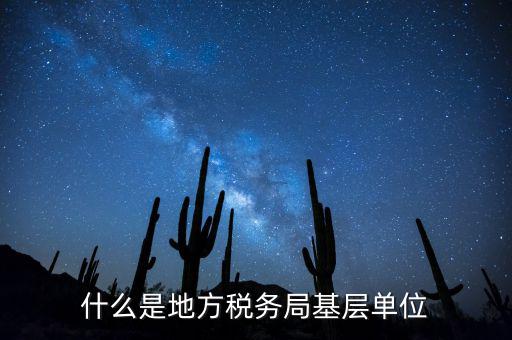 基層稅務(wù)機(jī)關(guān)是什么，什么是地方稅務(wù)局基層單位
