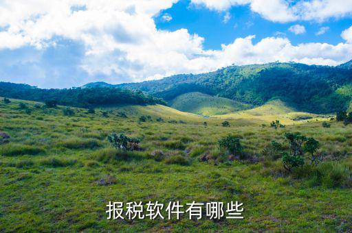 四川報稅軟件叫什么名字，網(wǎng)上報稅的那個軟件叫什么呀