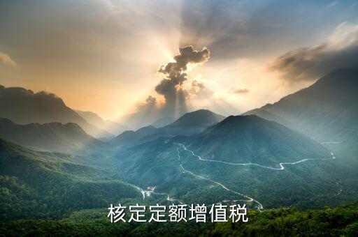 核定定額什么意思，什么叫上網(wǎng)電量和核定的定額稅率