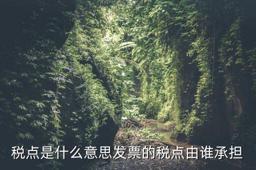 稅點(diǎn)由什么決定，稅點(diǎn)是什么意思